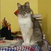 Отзыв от Вика Сорокина